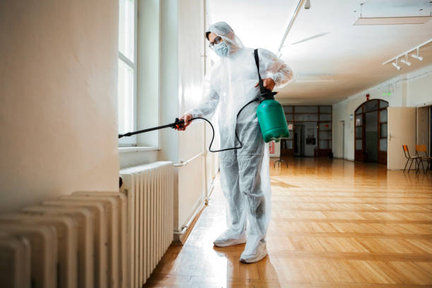 Professional Pest Control in Chester Center, CT